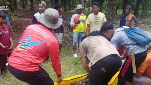 pemuda-di-Nunukan-tewas-saat-cari-sapi.jpg