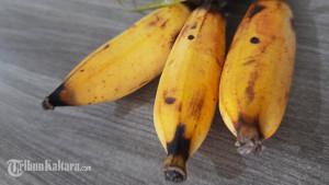 pisang-010422_2.jpg