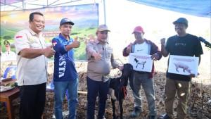 secara-simbolis-hibah-24-ekor-kambing-di-Tarakan.jpg