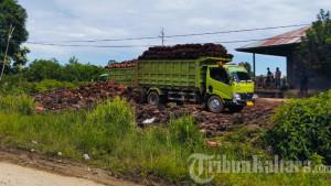 truk-pengangkut-sawit-011025.jpg
