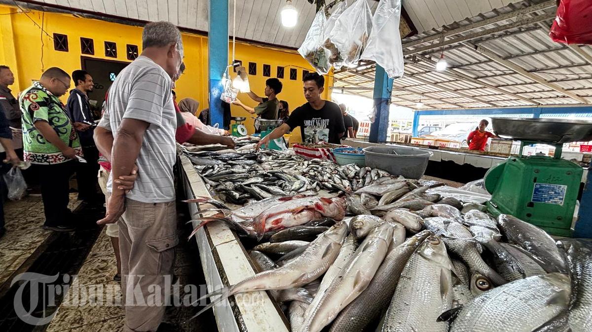 06012026-ikan-di-Pasar-Induk-Malinau-02.jpg