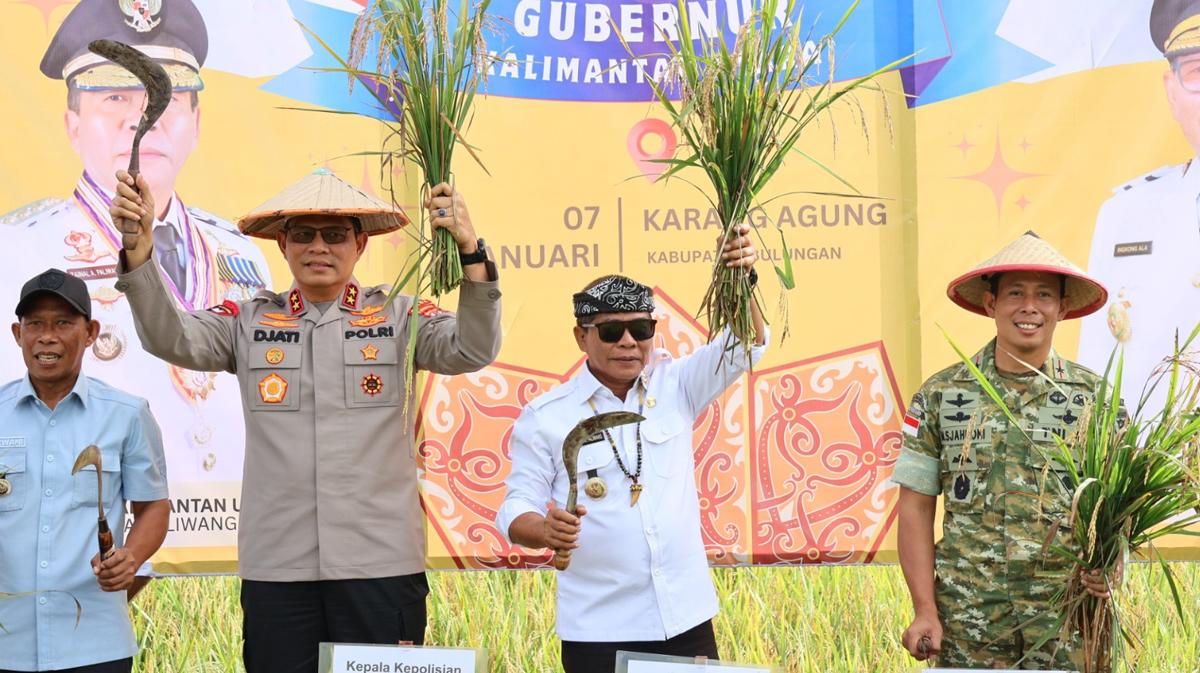 07012026-Kapolda-Kaltara-ikut-panen-raya-Padi-Gogo-03.jpg