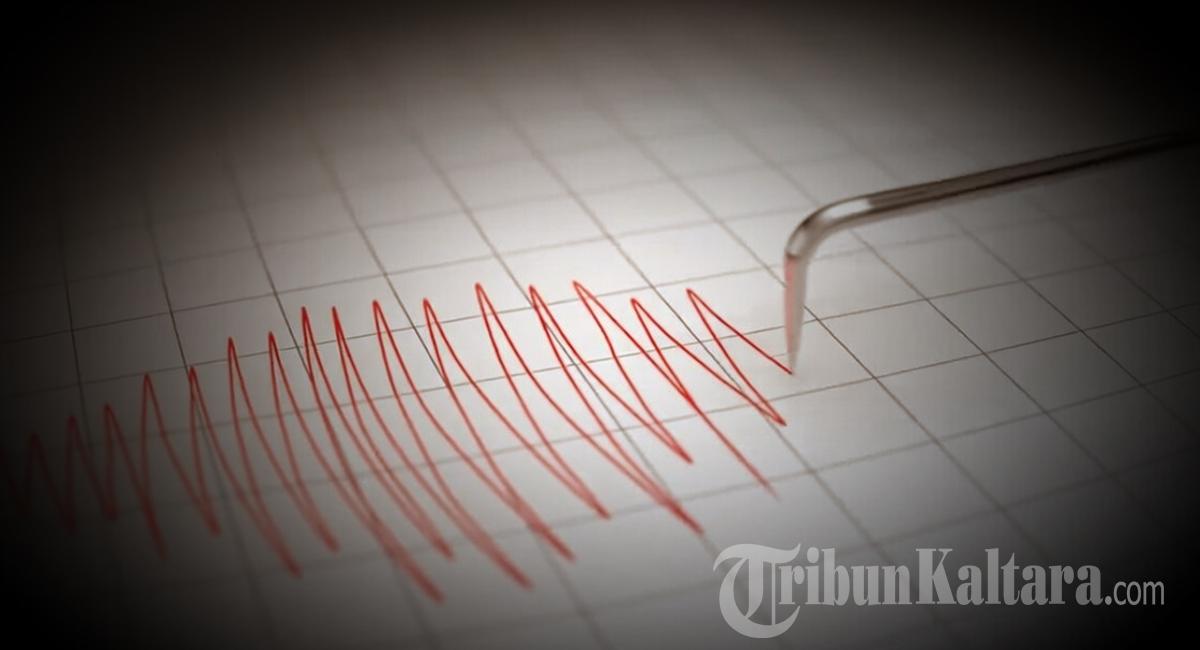 12022026-ilustrasi-gempa-Seismograf.jpg