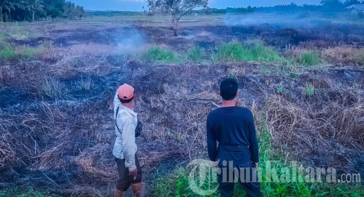 BPBD Nunukan Temukan Aktivitas Pembakaran Lahan di Mansapa Saat Patroli Rutin