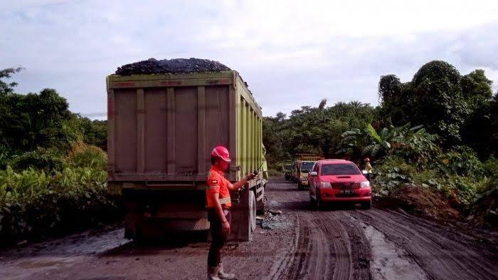 Turun Sejak 2021, Jumlah Produksi Baru Bara Malinau Menurun 3 Tahun Terakhir, Berikut Rinciannya
