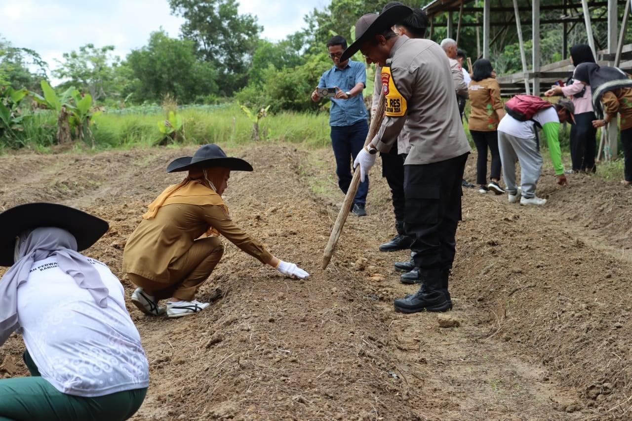 Bupati-Nunukan-Asmin-Laura-bersama-unsur-Forkopimda-ikut-menanam-jagung-srh.jpg