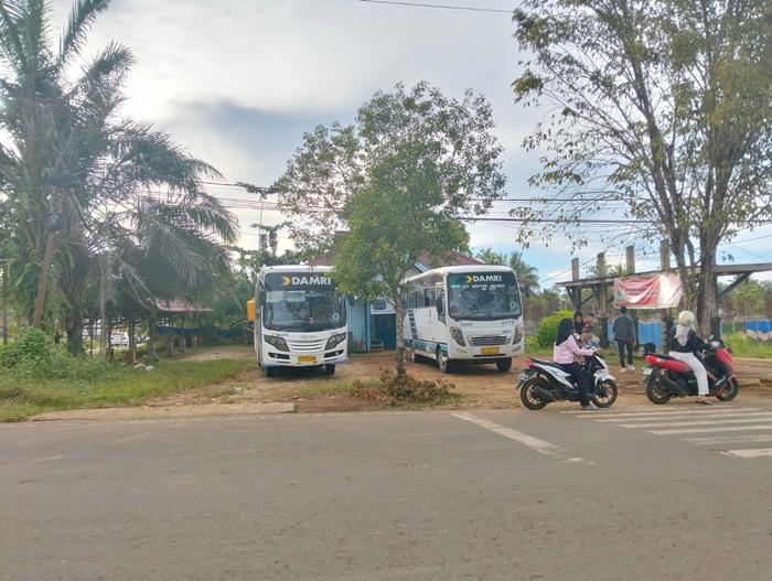 Bus-Damri-rute-Tana-Tidung-Tanjung-Selor.jpg