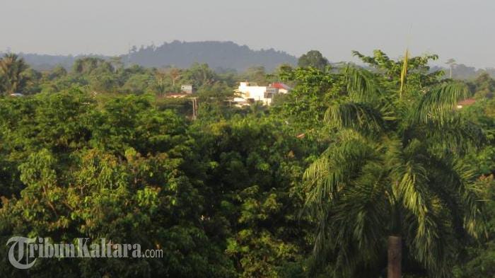 Hutan-di-Malinau-150223_2.jpg