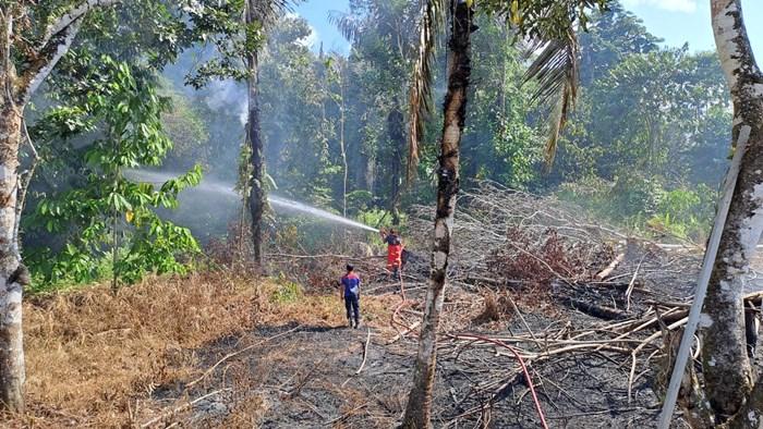 Kebakaran-lahan-yang-sengaja-dilakukan-warga-dhbn.jpg