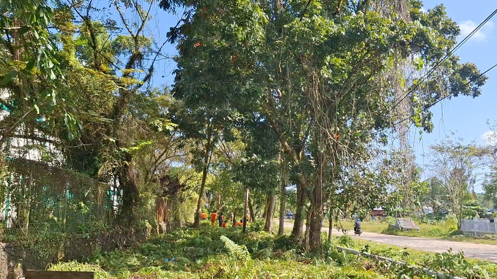 Lokasi-baru-pedagang-buah-musiman-23012026jpg.jpg