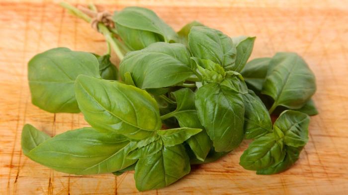 Manfaat-daun-kemangi-1.jpg
