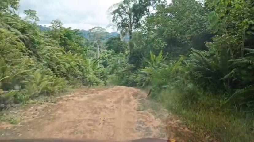 Minim Infrastruktur Jalan, Warga Kabudaya Desak Pemkab Nunukan Kaltara Prioritaskan Pembangunan
