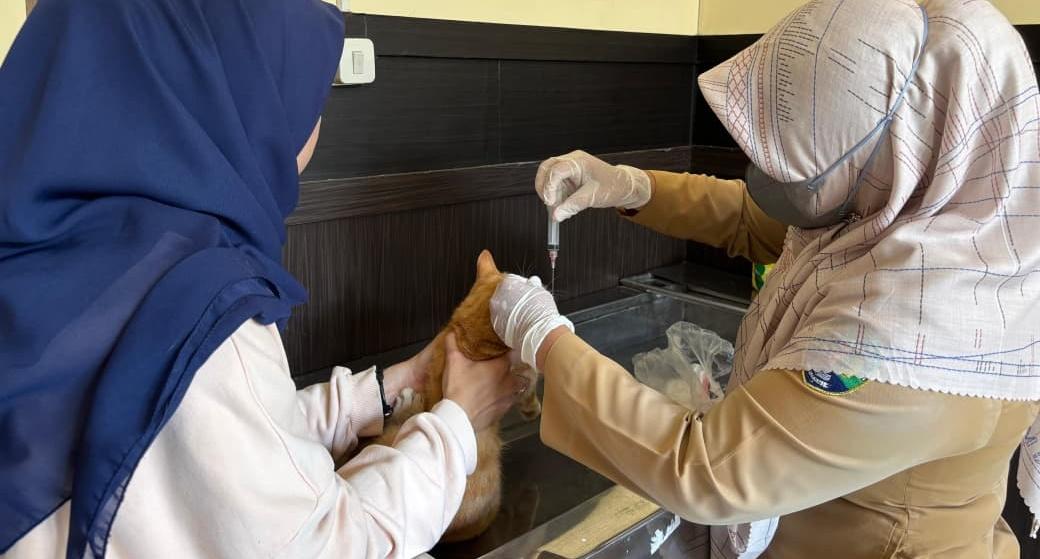 Pelayanan-kesehatan-terhadap-hewan-peliharaan-251025S.jpg