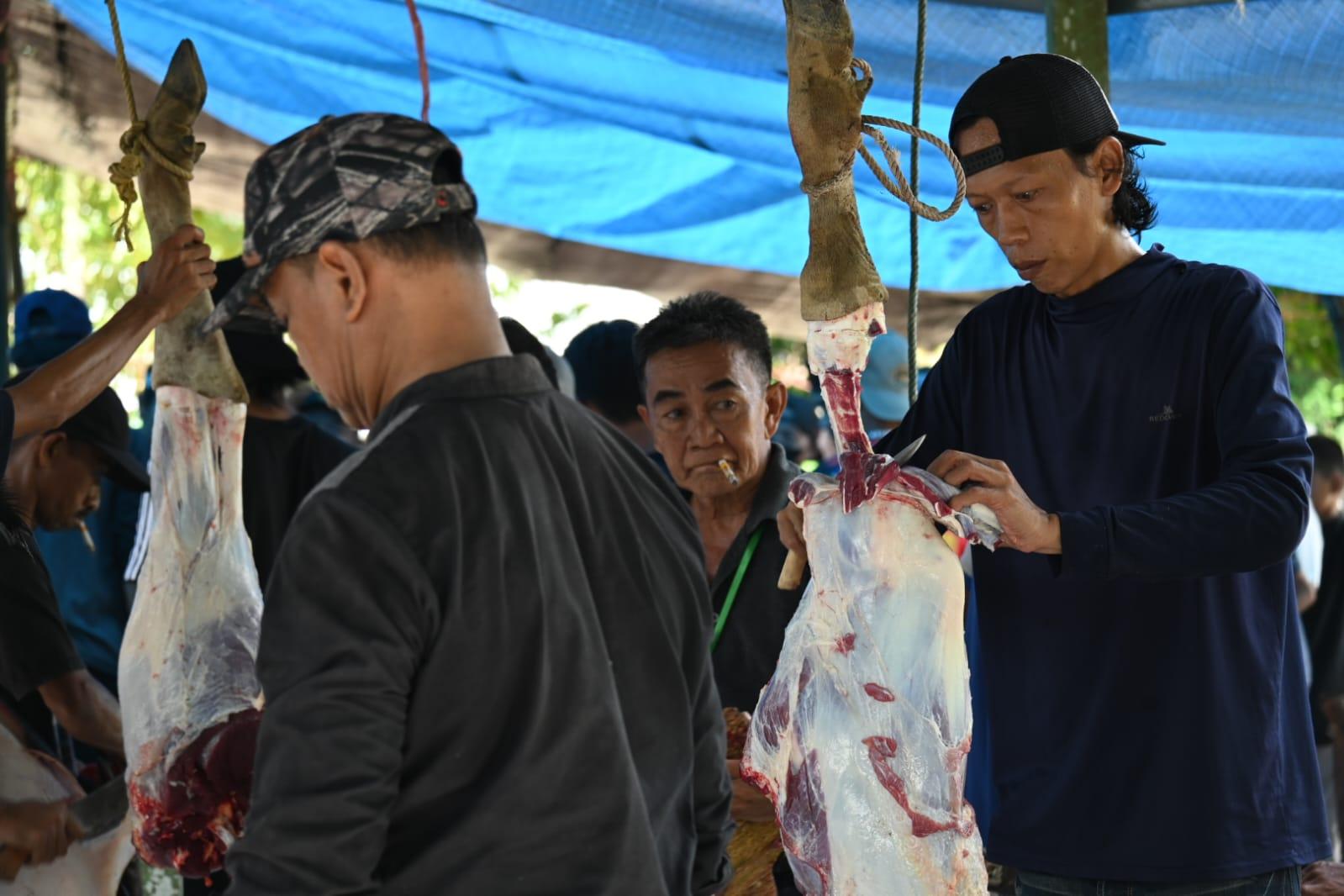 Pemotongan-hewan-kurban-di-Malinau-17062024.jpg