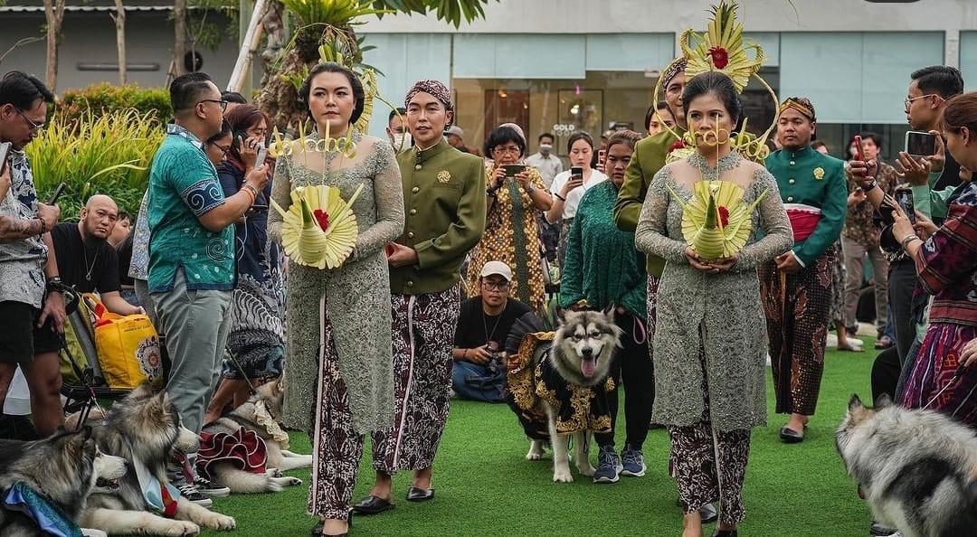 Pernikahan-anjing-dengan-adat-Jawa-bernama-Luna-dan-Jojo.jpg