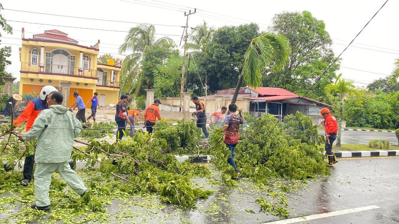 Pohon-tumbang-di-Nunukan-01-29052026.jpg