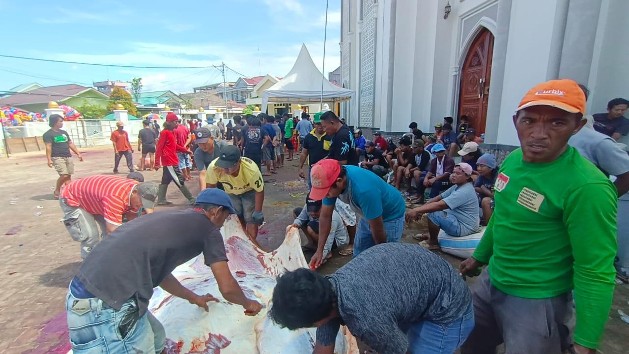 Sapi-kurban-LDII-Tarakan-17062024.jpg