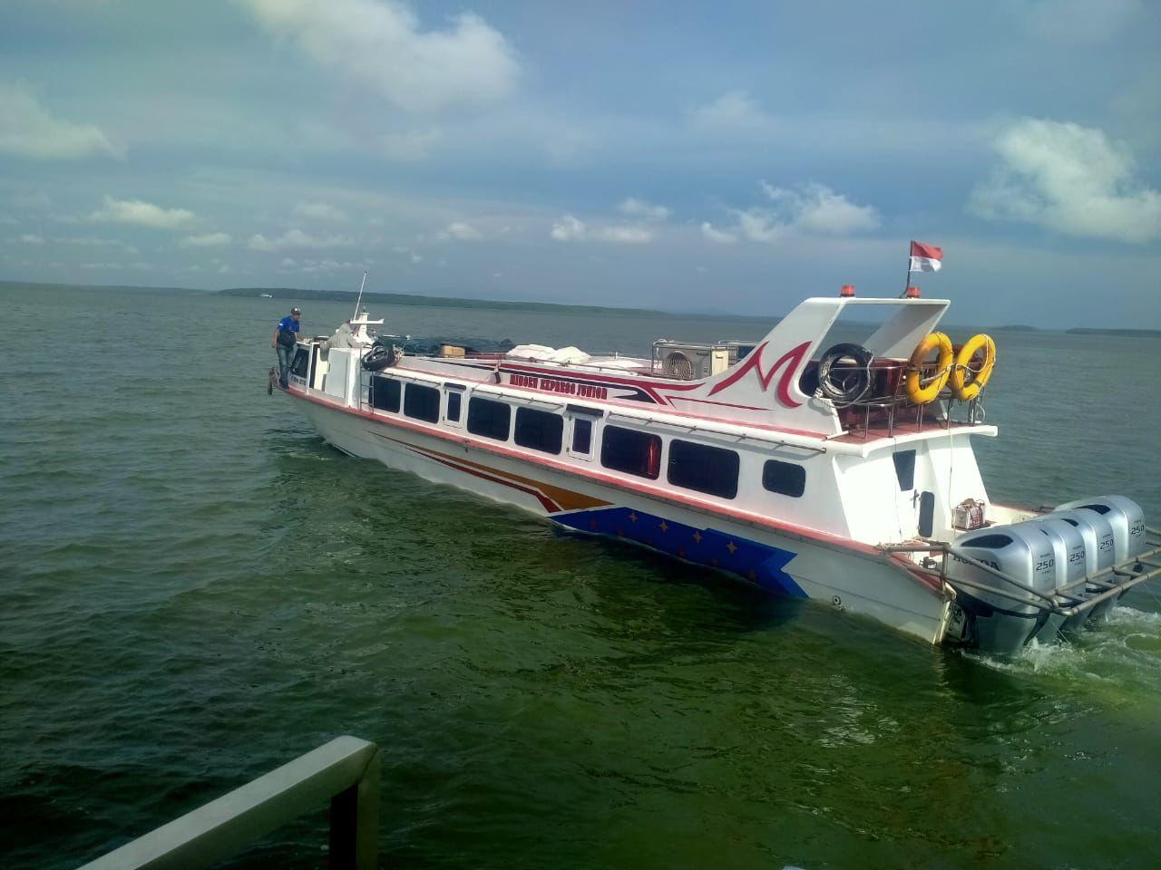 Olivia Wilde jinsiy aloqa sahnalari