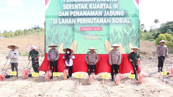 Suasana-penanaman-jagung-serentak.jpg