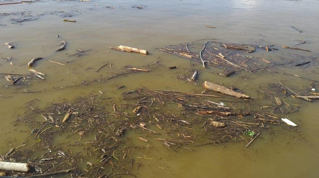 Sungai-Sesayap-yang-Penuh-dengan-Kayu-fynf.jpg