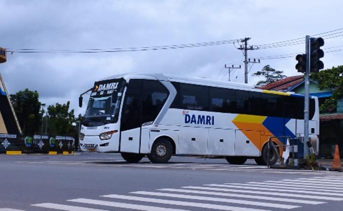 Jadwal Damri Tanjung Selor Hari Ini Minggu 26 April 2026, Tersedia Rute Berau dan Samarinda
