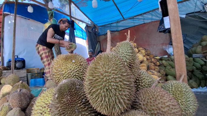 Tarakan Mulai Banjir Durian dan Buah Musiman, Cek Harga Terbaru hingga Suka Duka Penjual