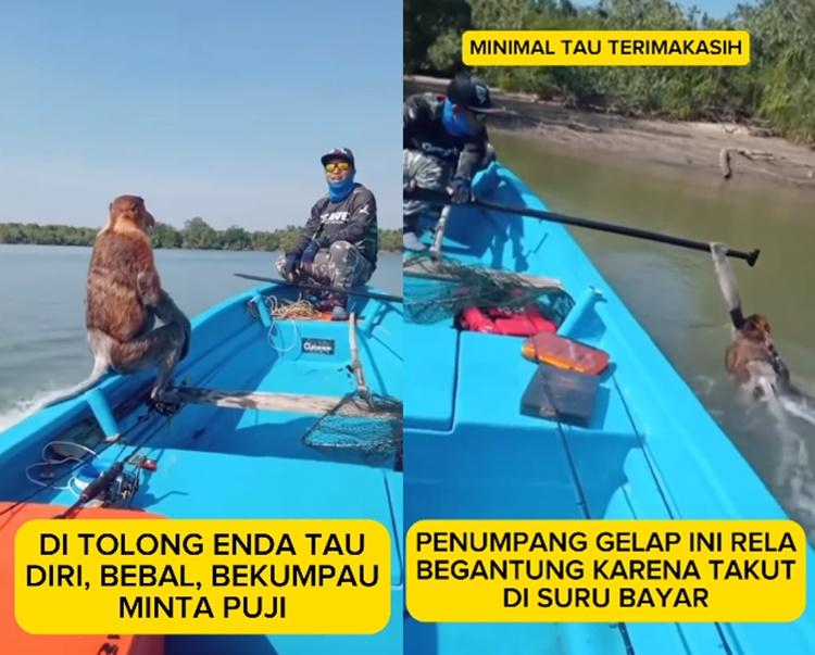 Viral-aksi-content-creator-asal-Kaltara-Ipung-saat-men-dubbing-video-kocak-bekantan.jpg