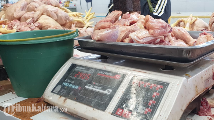 Jelang Ramadan, Harga Daging Ayam Potong di Pasar Induk Tanjung Selor Capai Rp 45.000 Per Kilo