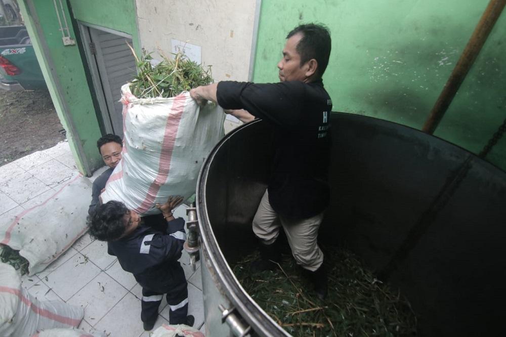 KPH Tarakan Tingkatkan Produksi Minyak Kayu Putih, Gandeng Kelompok Tani: Sehari Hasilkan 4 Liter