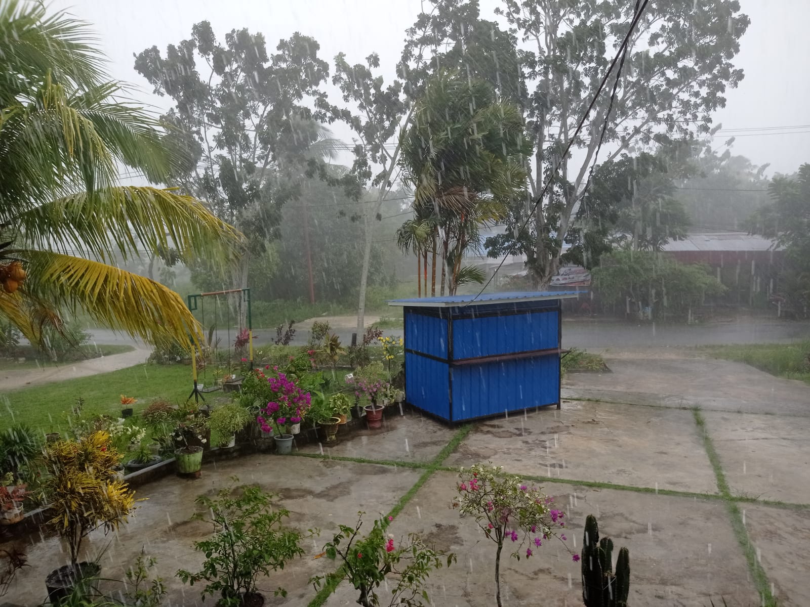 Prakiraan Cuaca Nunukan Hari Ini Minggu 19 Juni 2022, Hujan Ringan Mulai Siang hingga Dini Hari