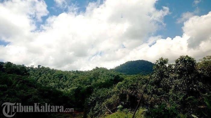 Pemkab Malinau Fasilitasi 9 Usulan Hutan Adat untuk Verifikasi Lapangan