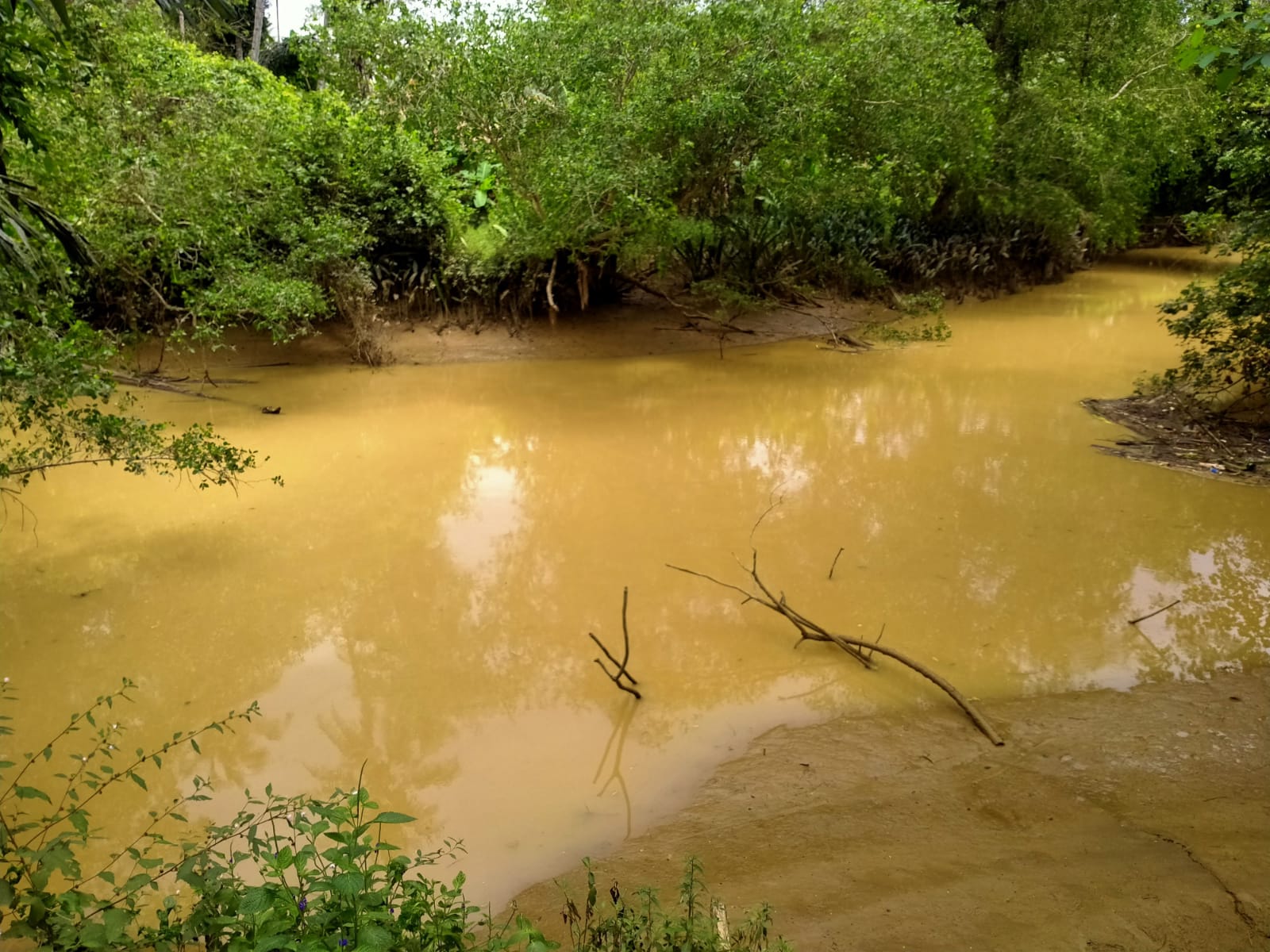 salah-satu-sungai-di-kelurahan-sepaku-yang-sering-banjir-srhy.jpg