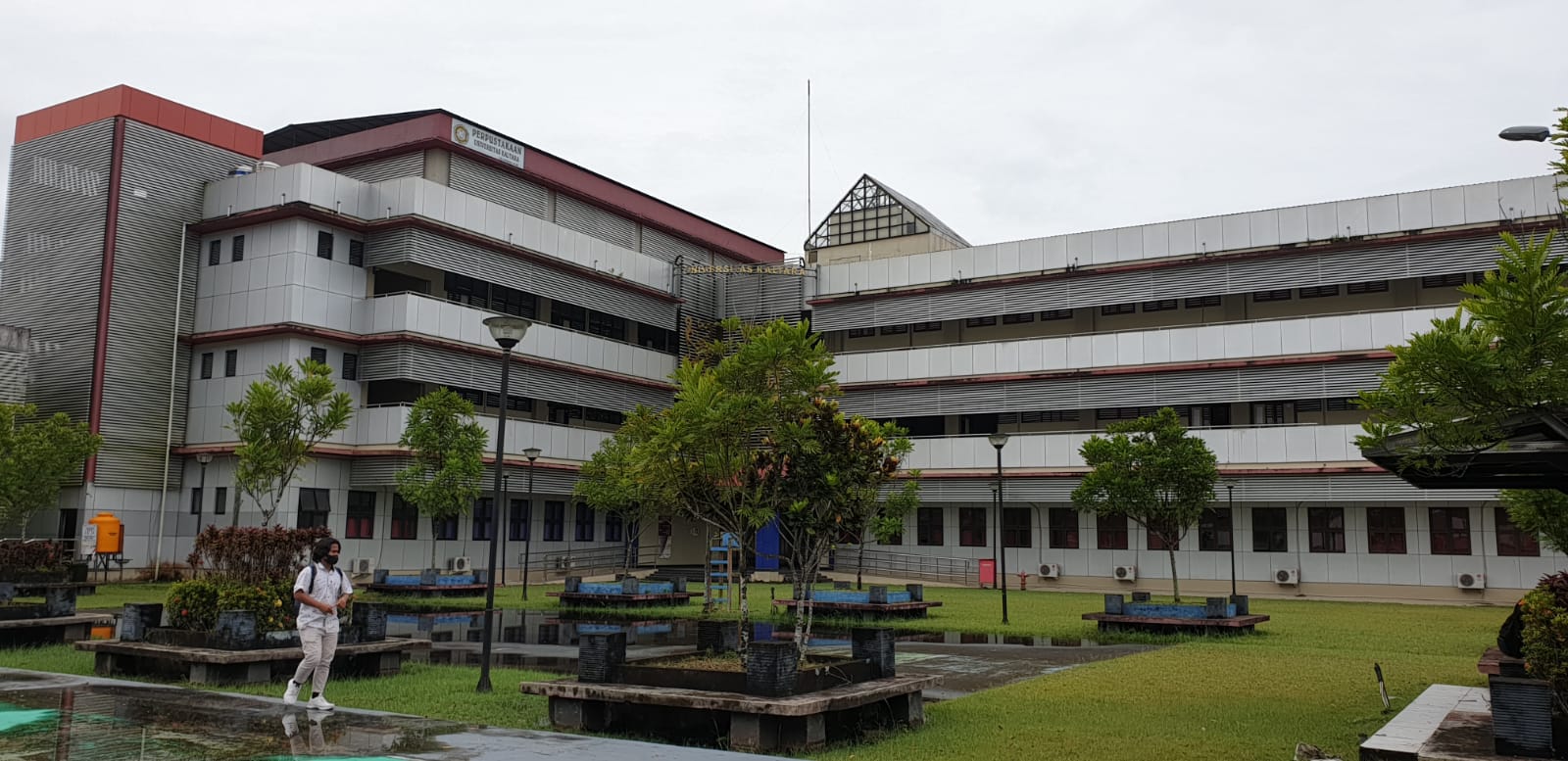 Kinoda kaltaklash Kinoda kaltaklash