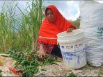 Cabai-di-Tarakan-01-20112023.jpg
