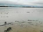 Kondisi-Sungai-Sesayap-Tana-Tidung-111025.jpg