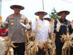 Panen-jagung-kuartal-III-dilaksanakan-Polres-Tarakan-etj.jpg