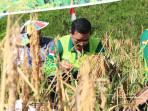 Panen-raya-di-Bulungan-01102025jpg.jpg
