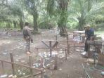 Petugas-Satpol-PP-Malinau-mendatangi-wilayah-aktivitas-sabung-ayam.jpg