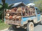 Salah-satu-pabrik-pengolahan-kelapa-sawit-di-Bulungan-061025.jpg