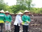 Wali-Kota-Tarakan-tabur-benih-perdana-01-15102025jpg.jpg