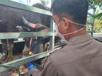 bkp-tarakan-14062022.jpg