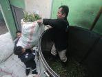 KPH Tarakan Tingkatkan Produksi Minyak Kayu Putih, Gandeng Kelompok Tani: Sehari Hasilkan 4 Liter