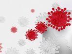 ilustrasi-virus-corona-di-dunia-17122020.jpg