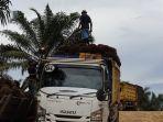 lokasi-perkebunan-sawit-di-wonomulyo-kecamatan-tanjung-palas-timur.jpg