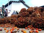 pabrik-pengolahan-kelapa-sawit-pt-bbs-di-desa-kuala-lapang.jpg