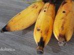 pisang-010422_2.jpg