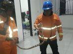 proses-evakuasi-ular-di-rumah-warga-02-03062022.jpg