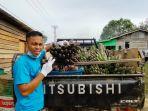 ramli-saat-ditemui-di-sela-aktivitasnya-memindahkan-pisang-35.jpg