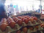 stok-telur-ayam-di-malinau-masih-mencukupi-pada-agen-dan-distributor-fhyj.jpg