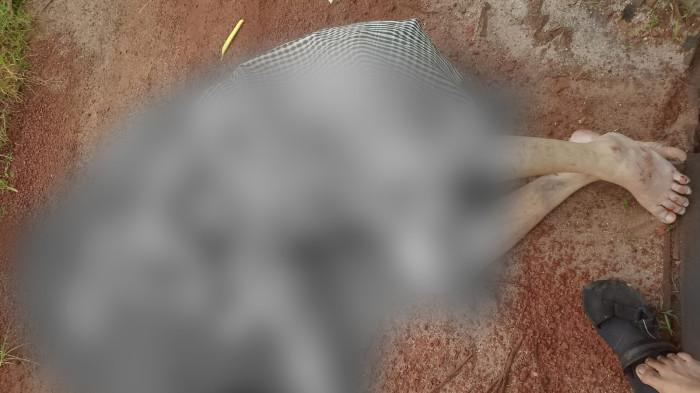 LAKALANTAS - kecelakaan lalu lintas yang menewaskan Kepala Sekolah SDN 1 Sungai Paring, Kecamatan Cempaga, Kabupaten Kotawaringin Timur (Kotim), Kamis (25/9/2025).